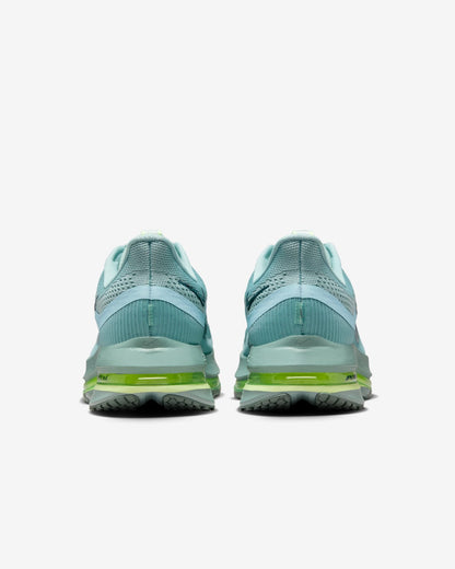 Nike Pegasus Premium