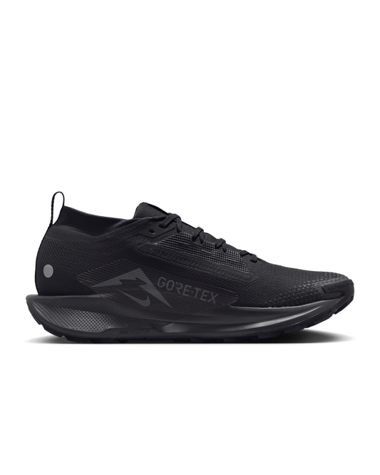 Nike Pegasus Trail 5 GORE‑TEX