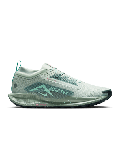 Nike Pegasus Trail 5 GTX