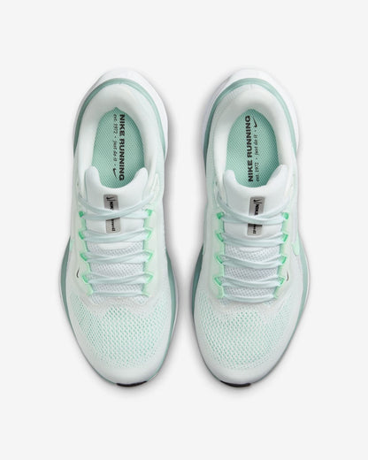 Women Nike Air Zoom Pegasus 41