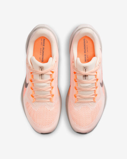 Women Nike Air Zoom Pegasus 41