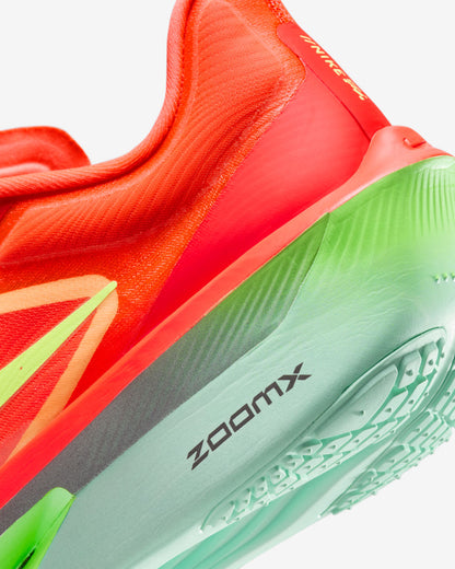 Nike Zoom Fly 6